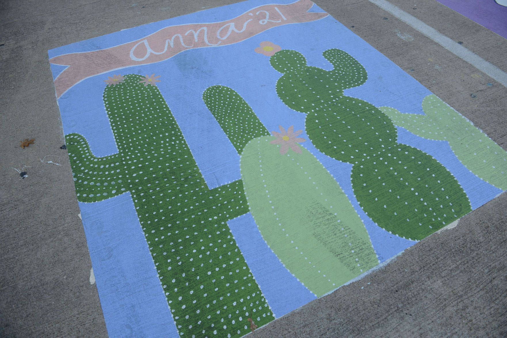 A&M Consolidated HS painted parking spots
